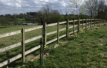 Agricultural Farm Land Fencing