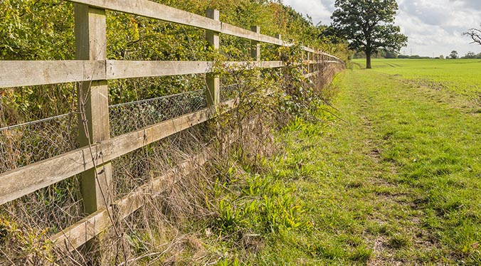 Agricultural Fencing