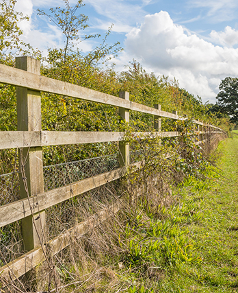 Agricultural Fencing Solutions