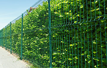 Commercial Security Fencing