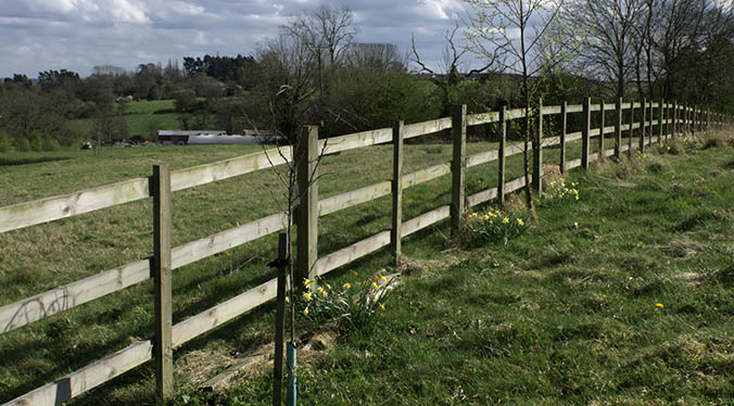 Post and Rail Fencing